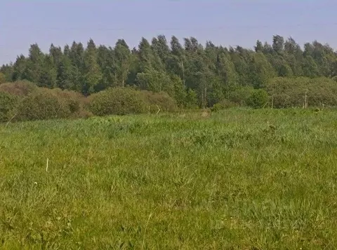 Участок в Московская область, Рузский муниципальный округ, д. Орешки  ...