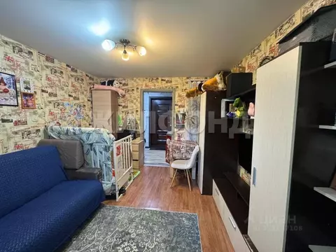 1-к кв. Новосибирская область, Новосибирск ул. Котовского, 18/2 (18.3 ...