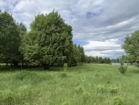 Участок в Московская область, Серпухов городской округ, с. Липицы ул. ...