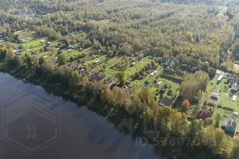 Участок в Новгородская область, Новгородский район, Бронницкое с/пос, ...