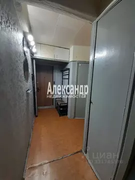 2-к кв. Санкт-Петербург просп. Космонавтов, 94 (42.0 м)