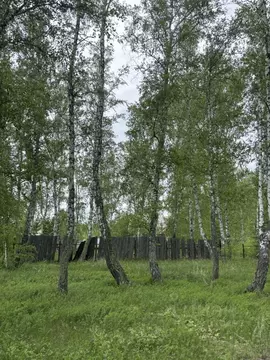 Участок в Курганская область, Кетовский муниципальный округ, д. Лукино ...