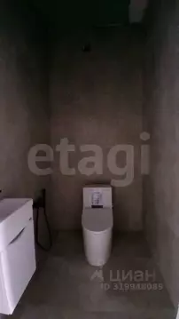 Дом в Ставропольский край, Михайловск Шпаковский район, ул. Владимира ...