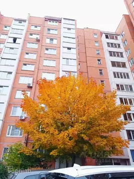 1-к кв. Санкт-Петербург просп. Косыгина, 33к1 (41.0 м)