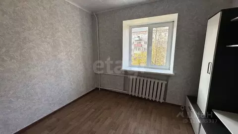 Студия Владимирская область, Ковров Сосновая ул., 15/2 (13.1 м)