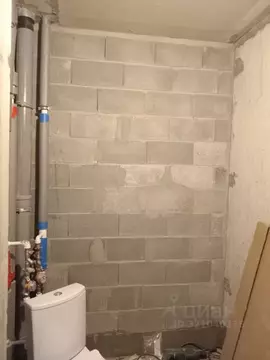 Студия Ленинградская область, Мурино Всеволожский район, ул. Шоссе в ...