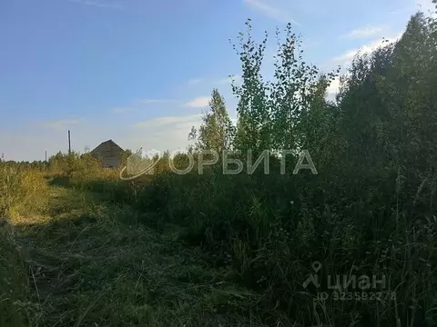 Участок в Тюменская область, Нижнетавдинский муниципальный округ, ...