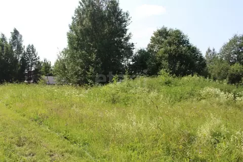 Участок в Ярославская область, Пошехонский муниципальный округ, ...