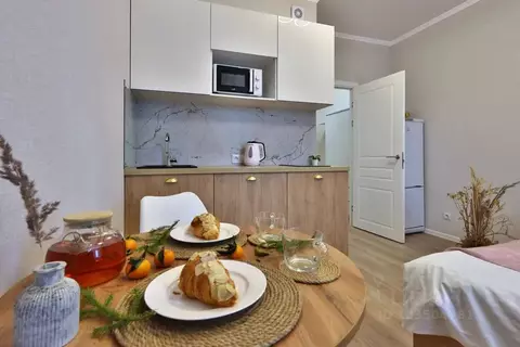 Студия Ленинградская область, Всеволожский район, Заневское городское ...