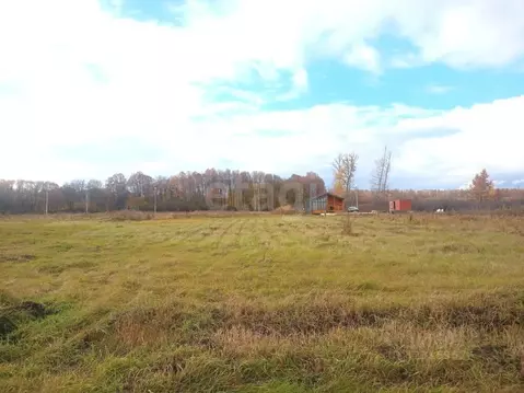 Участок в Воронежская область, Рамонский район, Новоживотинновское ...