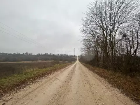 Участок в Калужская область, Боровский муниципальный округ, ...