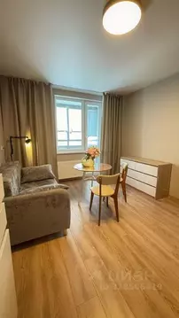 Студия Санкт-Петербург пос. Шушары, просп. Старорусский, 13к2 (25.0 м)