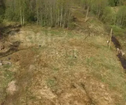 Участок в Ленинградская область, Ломоносовский район, Виллозское ...