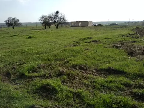 Участок в Крым, Симферопольский район, Родниковское с/пос, Содружество ...