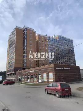 Студия Ленинградская область, Всеволожск ш. Дорога Жизни, 7к1 (20.5 м)