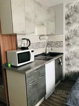 Студия Ивановская область, Иваново Новосельская ул. (18.7 м)