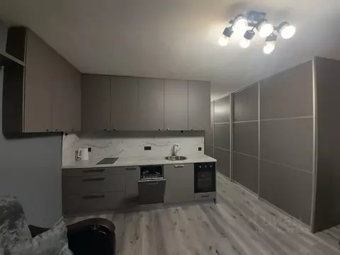 Студия Санкт-Петербург пос. Парголово, Заречная ул., 13к2 (26.5 м)