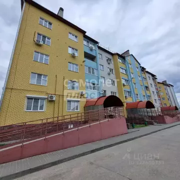 1-к кв. Нижегородская область, Бор пос. Октябрьский, ул. Победы, 24к2 ...