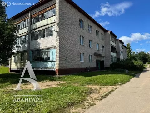 2-комнатная квартира: деревня Бирево, 1 (45.6 м)