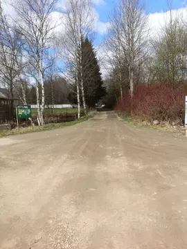 Участок в Ленинградская область, Лужский район, Толмачевское городское ...