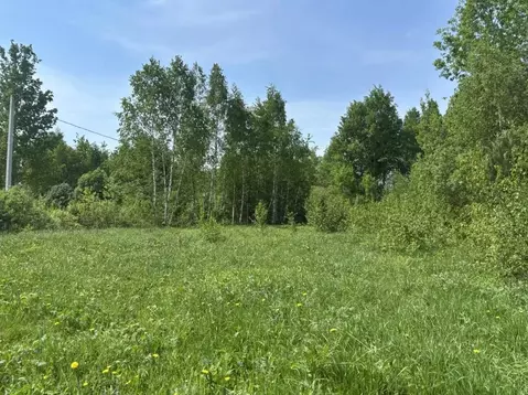 Участок в Московская область, Павлово-Посадский городской округ, д. ...