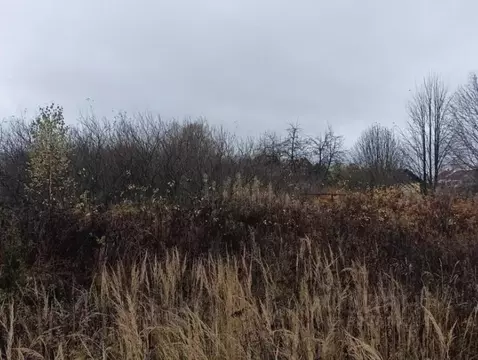 Участок в Московская область, Дмитровский муниципальный округ, д. ...