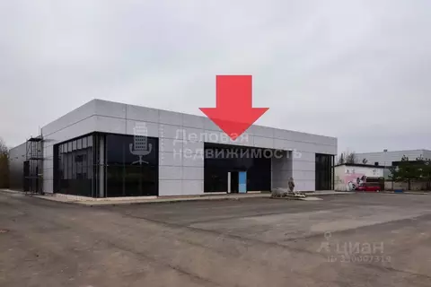 Помещение свободного назначения в Новгородская область, Великий ...