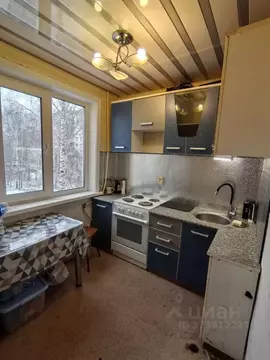 2-к кв. Новосибирская область, Новосибирск ул. Олеко Дундича, 23/3 ...