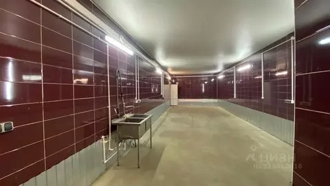 Производственное помещение в Ленинградская область, Тельмана ...