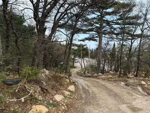 Участок в Крым, Ялта муниципальный округ, Кореиз пгт, пос. Мисхор  ...