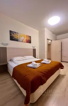 1-к кв. Санкт-Петербург Пулковское ш., 14Е (35.5 м)