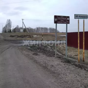 Участок в Томская область, Томский район, Зоркальцевское с/пос, ...