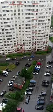 2-к кв. Санкт-Петербург ул. Ворошилова, 31к2 (64.0 м)