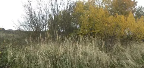 Участок в Московская область, Серебряные Пруды пгт ул. Свободная ...