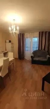 Студия Санкт-Петербург просп. Юнтоловский, 43к1 (24.0 м)