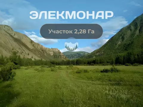 Участок в Алтай, Чемальский район, Элекмонарское с/пос, с. Элекмонар ...