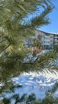 3-к кв. Иркутская область, Ангарск 6А мкр, 41 (68.9 м)