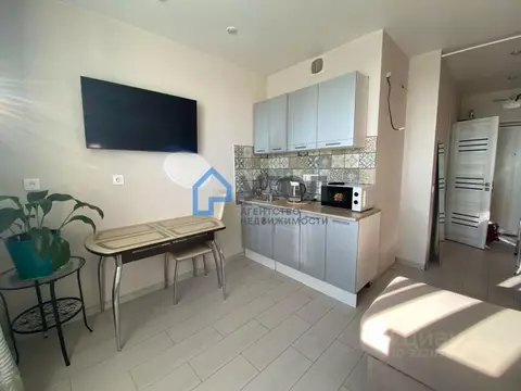 Студия Самарская область, Самара просп. Карла Маркса, 4Е (22.6 м)