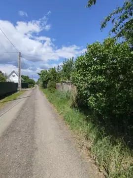 Участок в Брянская область, Брянск Рассвет садовое общество, 222 (7.0 ...