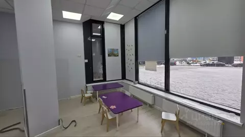 Помещение свободного назначения в Москва ул. Поляны, 5 (41 м)