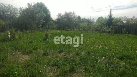 Участок в Вологодская область, Ручеек-91 СТ  (10.53 сот.)