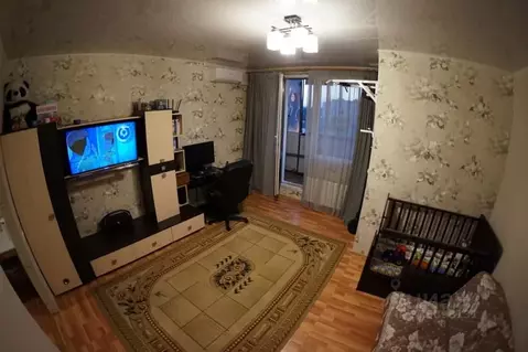 Студия Московская область, Люберцы городской округ, Октябрьский пгт ...