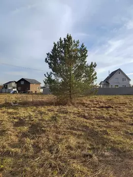 Участок в Ленинградская область, Гатчинский муниципальный округ, д. ...