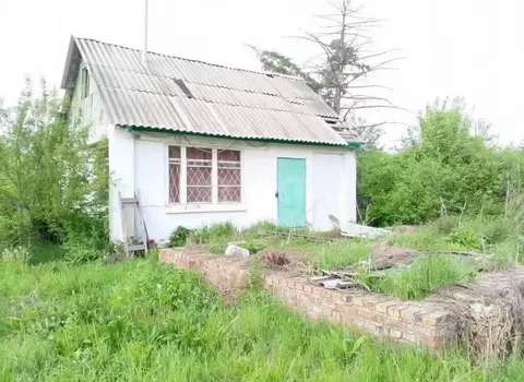Дом в Омск, территория СОСН Аэрофлот, 12-я аллея (33.2 м)