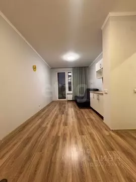 Студия Санкт-Петербург ул. Чирикова, 5 (21.2 м)