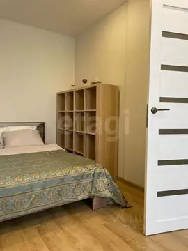 Студия Новосибирская область, Новосибирск ул. Немировича-Данченко, ...