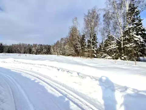 Участок в Московская область, Мытищи городской округ, д. Юрьево  (7.0 ...