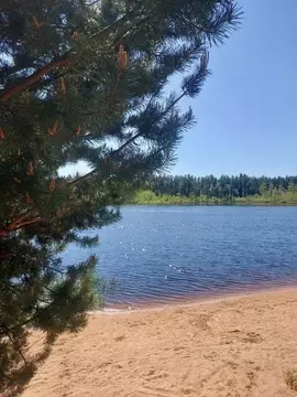 Участок в Ленинградская область, Приозерский район, Сосновское с/пос, ...