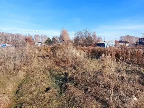Участок в Новосибирская область, Бердск Отрадное СНТ, ул. 3-я (5.0 ...