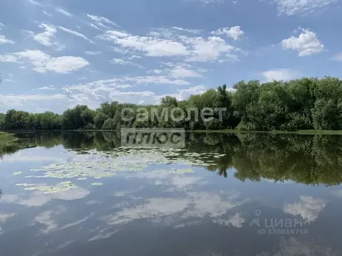 Участок в Воронежская область, Хохольский район, Новогремяченское ...
